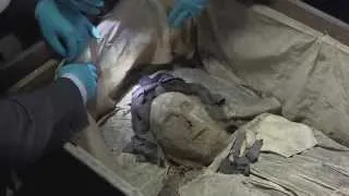 "Astonishingly" well-preserved 17th century mummy found