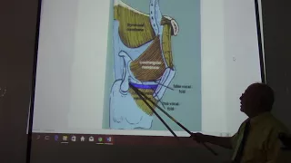 Respiratory  Module  11 or head & neck 67 ( Larynx , part3 ) , by Dr. Wahdan