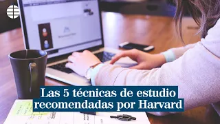 Las 5 mejores técnicas de estudio según Harvard