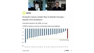 wiiw Economic Forecast for Eastern Europe (Autumn 2020)