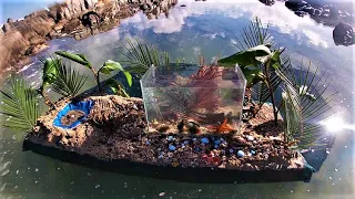 Making A Floating Island Tidal Pool Aquarium