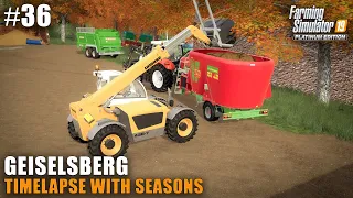 Geiselsberg Timelapse #36 Tending To The Animals, Farming Simulator 19 Seasons