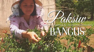 Paksiw na Bangus | Farm To Table | Neri Miranda