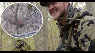 Tennessee Public Land Buck with a Bow