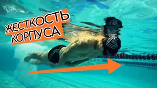 Основы основ: кроль на груди - положение тела в воде!