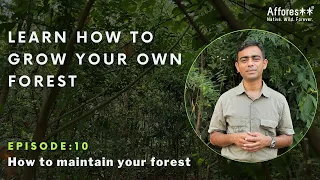 Ch:10 | Maintenance | Forest Creation Tutorials | English