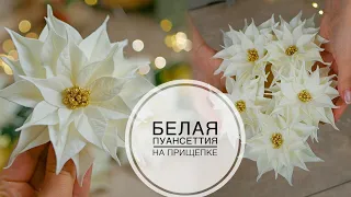 DIY POINSETTIAS / НОВОГОДНИЙ декор / ПУАНСЕТТИЯ своими руками / DIY TSVORIC