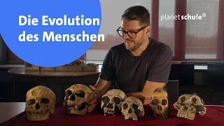Unsere evolutionäre Reise: Vom Affen zum Menschen - Woher wissen wir das? | planet schule