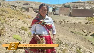 Poesía en quechua: QANTA NIYKI