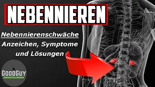 Nebennierenschwäche!Erschöpfung schlechter Schlaf!! Anzeichen Symptome und Lösungen