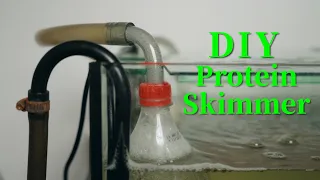 How to DIY Your Own Protein Skimmer for Saltwater Aquariums: See the Results and Compare Efficiency!