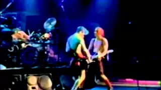 Red Hot Chilli Peppers - Pretty Little Ditty & Flea's Bass Solo - Live at Long Beach Arena