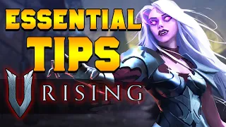 9 Essential Beginner Tips After 80 Hours on V Rising