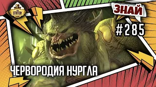 Червородия Нургла | Знай #285 | Age of Sigmar