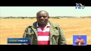 Wheat farmers in Narok worry about their harvest || Food Friday