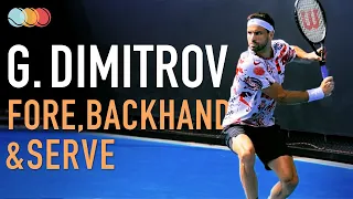 Grigor Dimitrov - Forehand Backhand Serve in Slow Motion (2021)