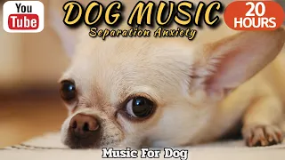 20 HOURS of Dog Calming Sleep Music🐶💖Anti Separation Anxiety Relief🦮🎵 Dog Relaxation⭐Healingmate
