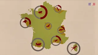 La liste rouge des espèces menacées en France