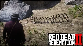 THE ULTIMATE GUIDE TO EASILY FIND ALL 30 DINOSAUR BONES!! - Red Dead Redemption 2 Tips & Tricks