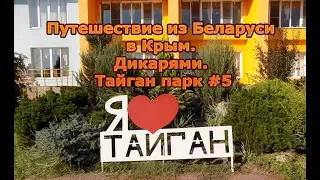 Путешествие из Беларуси в Крым  Дикарями  Тайган парк #5