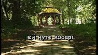 ВИЙШЛИ В ПОЛЕ КОСАРІ — караоке Українська народна пісня Ukrainian folk song karaoke