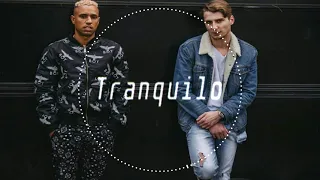 Bizzey x Yung Felix Type Beat "Tranquilo" | Latin instrumentals 2021 |