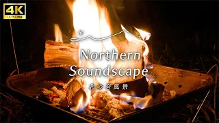 Relaxing time with the natural sounds of a bonfire and wind 🔥 [For sleep/Healing/ASMR]