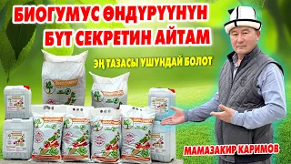 БИОГУМУС өндүрүү - өтө КИРЕШЕЛҮҮ БИЗНЕС ~ Миллиондорду тапса болот ~ Туура өндүрүүнү БИЛҮҮ КЕРЕК