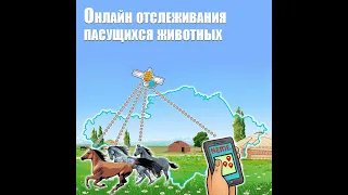 GPS -трекер для лошадей и крупно рогатого скота