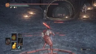 Dark souls 3 Final Boss Lord of Cinder