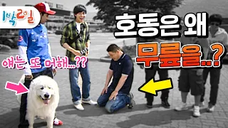 [1박2일 시즌1 41회-1][충주대] 백상예술대상 탄 강호동! 그런데 이승기 앞에서 무릎을 꿇었다??