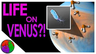 Could there be Life on Venus?