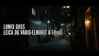 Lumix GH5S & LEICA DG VARIO-ELMARIT 8-18mm TESTLOG