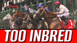 Is Inbreeding RUINING the Thoroughbred? w/Jessica Tugwell