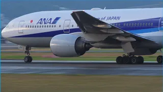 [4K] 2023/08/13 伊丹空港 飛行機離着陸#1 - Plane spotting at Osaka Intl Airport.