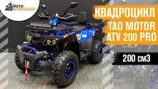 Квадроцикл Tao Motor ATV 200 Pro
