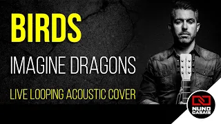 Birds (Imagine Dragons) Acoustic Live Looping Cover by Nuno Casais