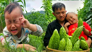 One fruit a day: Miraculous bitter melon - a medicinal plant gifted by nature |BayNguyen