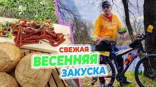 Шикарная ЗАКУСКА на природе | СУПЕР СЫТНАЯ и Невероятно СВЕЖАЯ!