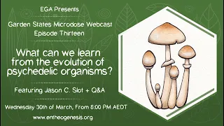 Jason Slot - What can we learn from the evolution of psychedelic organisms?