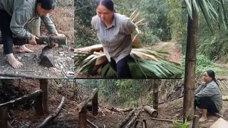 Building a bamboo house roofed with palm leaves is about to complete a difficult and lonely fate