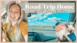 Road Trip Home | Kitten Travel Tips & Random Car Talks