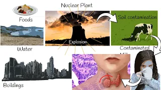 Nuclear Plant Explosion Health Effects;  and Long term Risks.  Radiation spread radius.