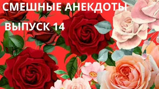 Слушать смешные анекдоты.Выпуск 14.