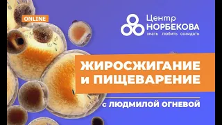 Открытый вебинар "Жиросжигание и Пищеварение" с Людмилой Огневой 30 Января в 20:00