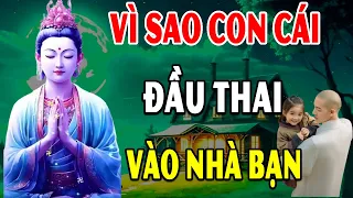 Lời Phật Dạy Muốn Biết CON CÁI Đến Với CHA MẸ Là Duyên Hay Là Nợ, Nghe 1 Lần Rồi Sẽ Rõ!!