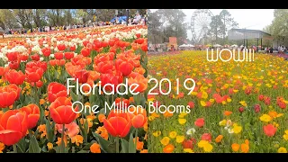 Floriade 2019 Full Walking Tour Australia's Biggest Celebration of Spring Canberra ACT