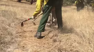 ODF Firefighters Practice Handline Construction