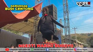 dawangan budi centong ngesti wargo budoyo live gringsing