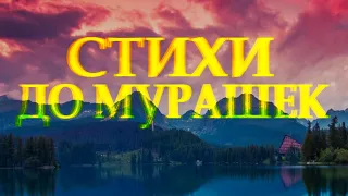 Душевный стих о любви "Случайностей не бывает" Дмитрий Кудрявцев Читает Леонид Юдин